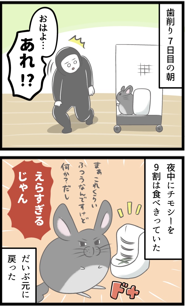 C326CE0A-C9D9-4BD9-A5D5-857A0E9791F1