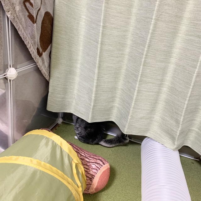 E5CC3DC6-2B5F-4ADA-80F4-C796E0BA7F66