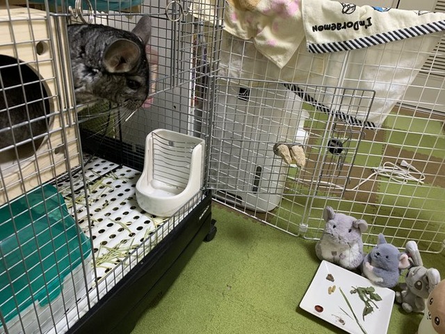 8AD594B4-493E-4F92-9A49-26E57403501E