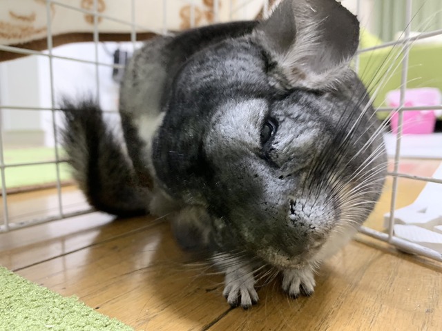 F30B8A76-83B4-41CB-A675-666E695FC96E