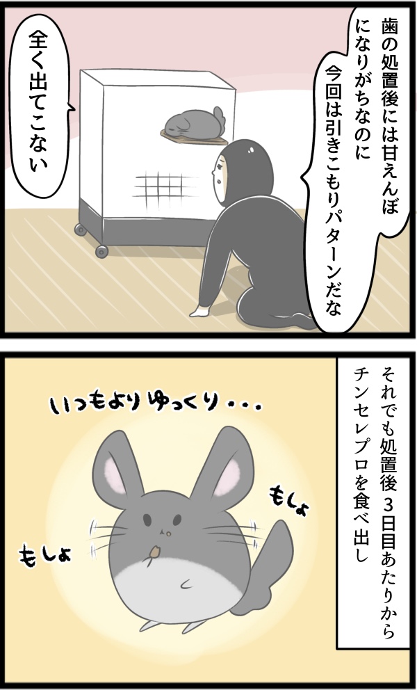2A431DC7-2E78-4DC9-8D6E-44B4C2B7C8D4