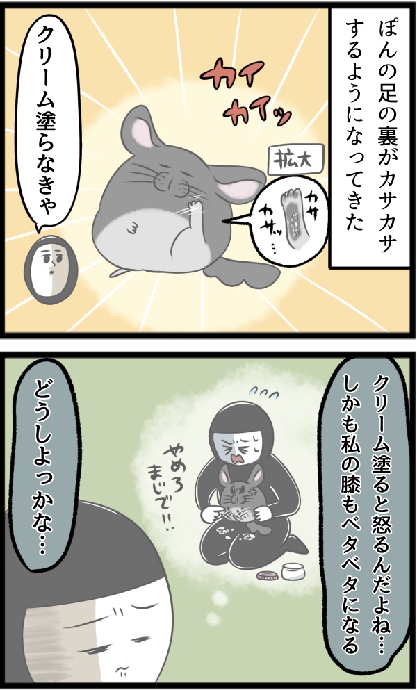 41925173-051D-471C-BB23-C06B1085CFA5