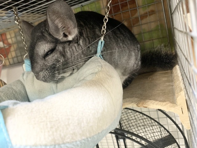 73AE37B1-91AE-4A16-B6F2-829FC5132E2E