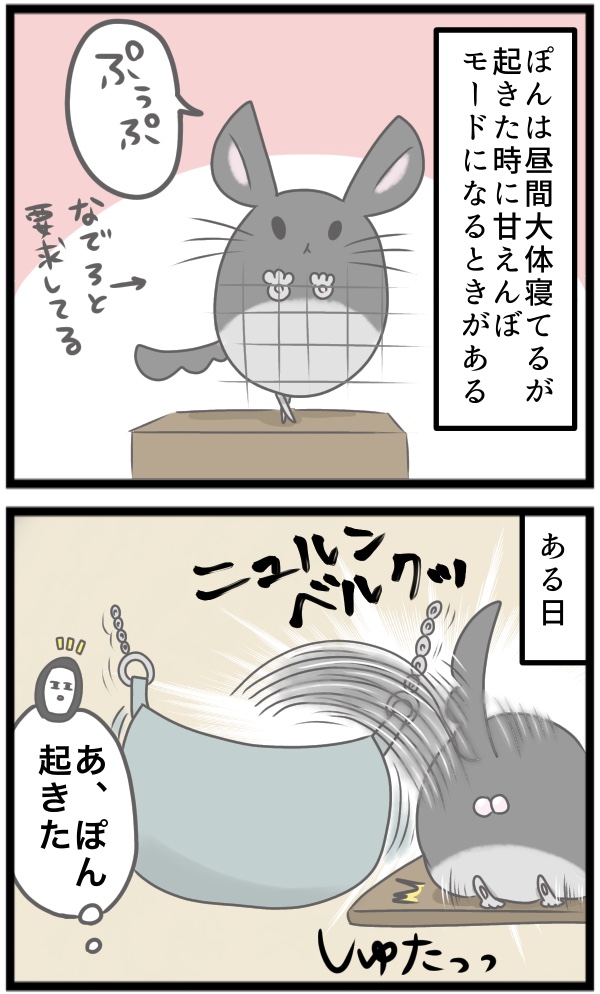 4BB29629-76BE-49F7-9BC9-A346F4149707