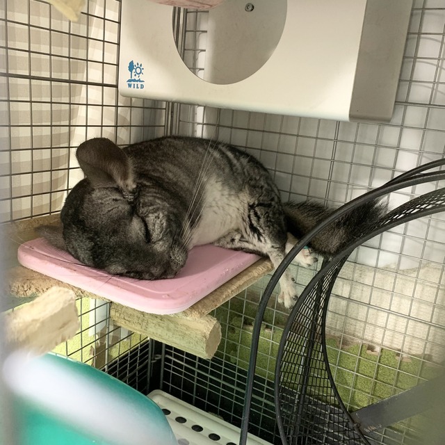 58562C77-3FDF-4B1E-9488-30CE113CB0A2