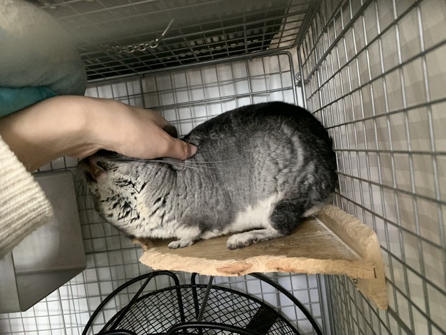 FA7FFCD9-D3E6-4E24-8B37-5E54C5A1E7CB