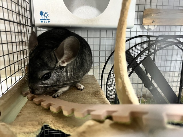 AF6D1C72-3A34-4228-9EEA-B7A999FE8126