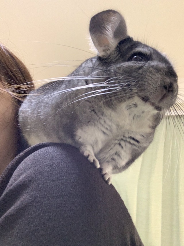 436BFB3C-84CD-4088-AFC7-8A74997F9D19