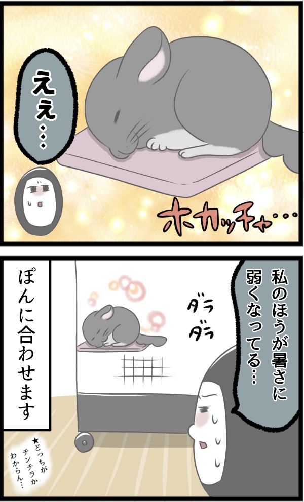 3ECAE095-6195-4F0F-8F17-A9AE553C448D