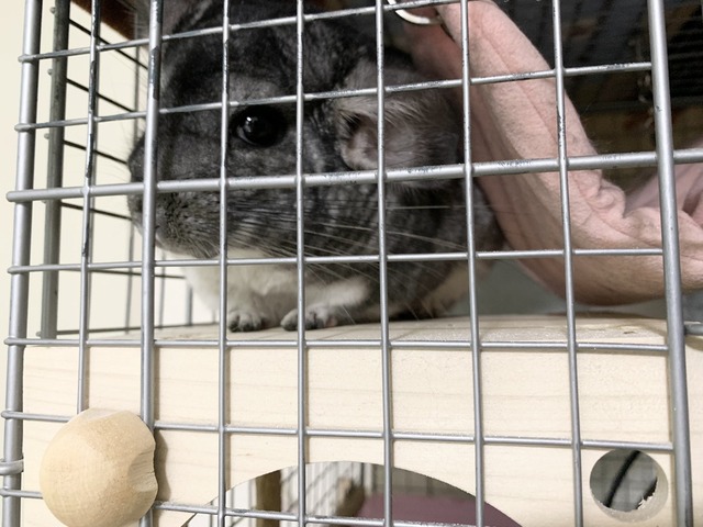 18C3A35F-86B7-4CC4-9986-CA55C74CD38C