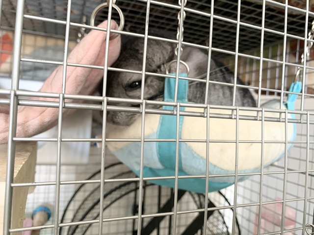 703D195F-F06F-4CAC-8D24-CBA67B6D959D