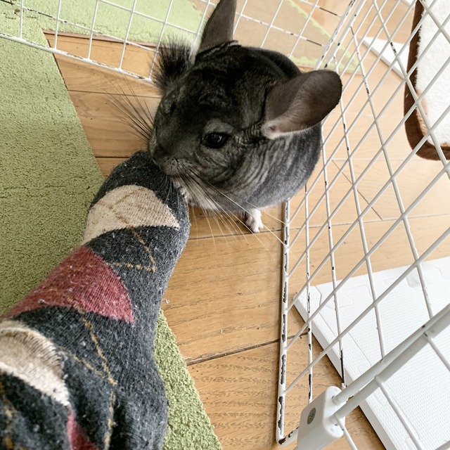 FBFE17C1-1AE9-451D-B845-A67ACE078203