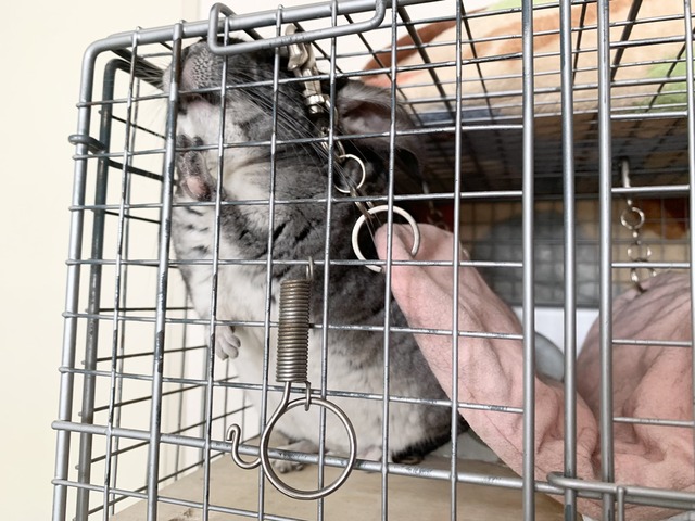 45328FD0-7E94-457A-B174-657F0655ABF7