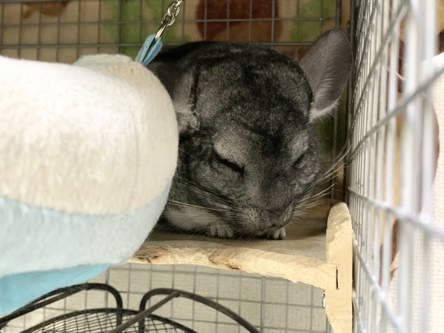 1211DF07-2CF4-41A8-AD04-203B769A589A