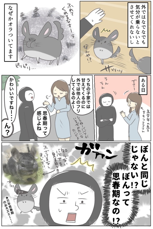 C5C0D4D8-0980-45EF-AFF8-0803736369A2