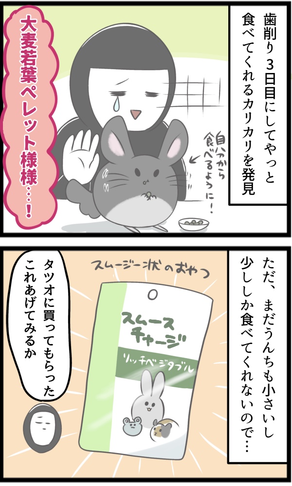 C2623650-E4D2-4CB1-B66F-41D13487328F
