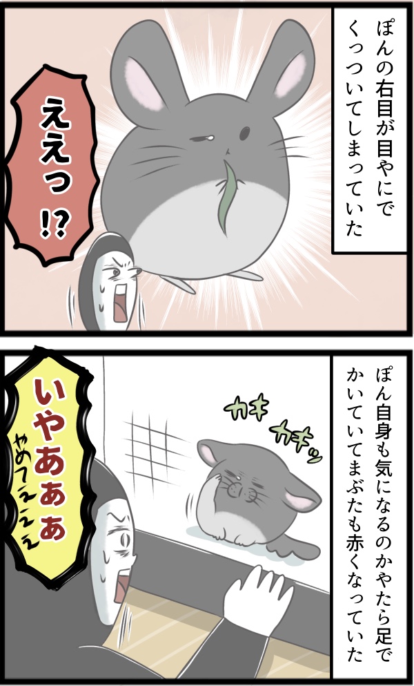 62A06B8C-1CBA-4D0A-8DEB-43B39D9CBBC2