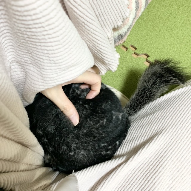 AE1DF05C-2BED-41E8-9070-ABE9BF5E45FE