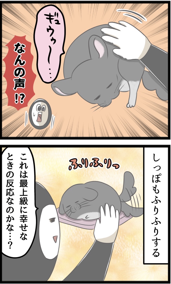 6626C1E2-92D6-4508-84B3-9C8F5A993FEE