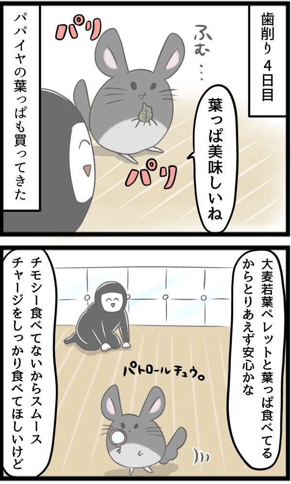 2EFD73F1-B4FF-4153-9C10-0067D615F0BE