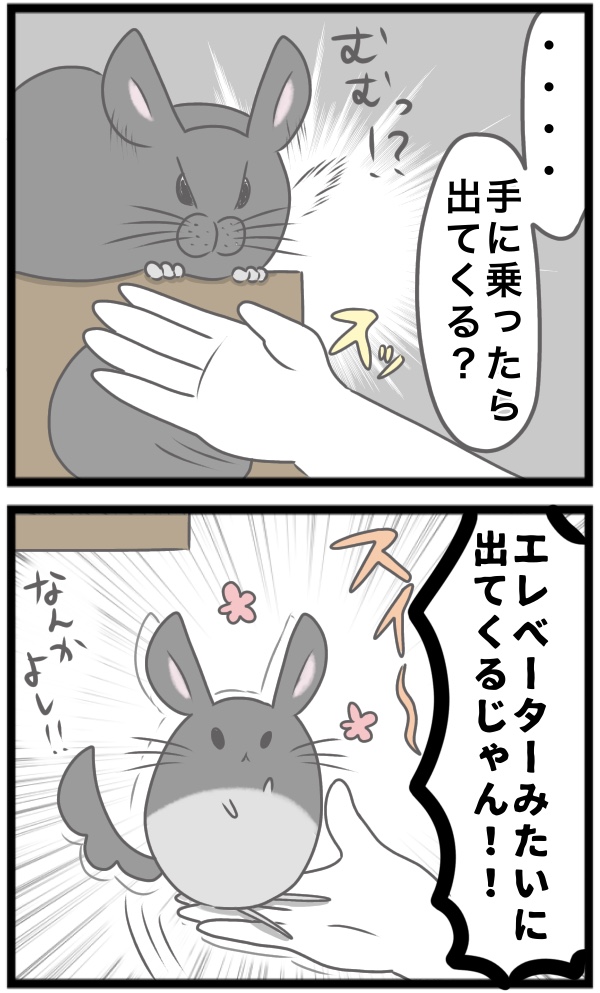 19830696-9392-44A8-AA77-1654D1087680