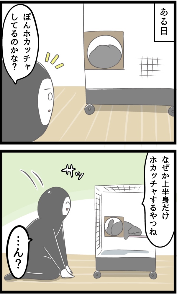 0C273A63-791A-4B0C-A1D9-3F347E6FF97A