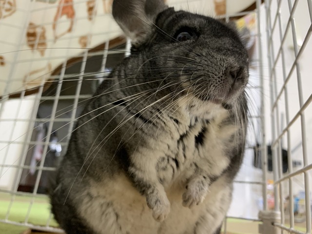 73536DD1-0EE9-4754-80AE-209D4FC20C7E