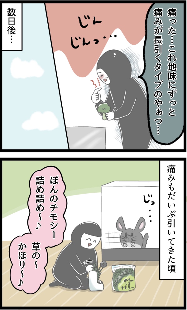 340688C1-901C-4708-9B76-C362069AA531