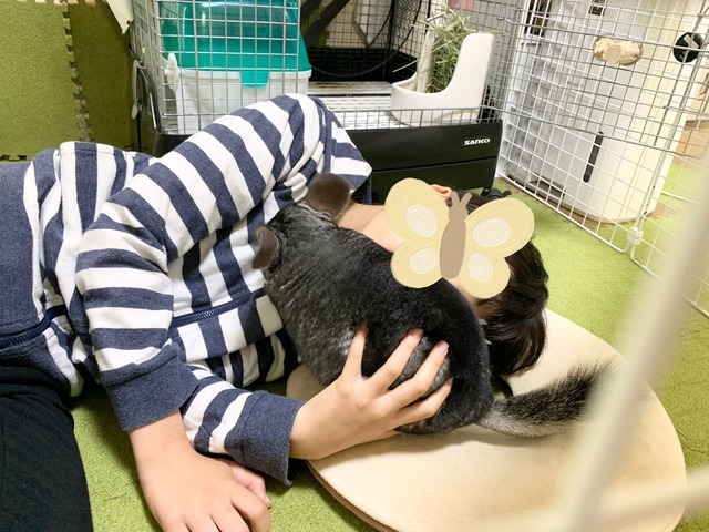 53111683-E26C-41EF-A222-D344E438AD8B