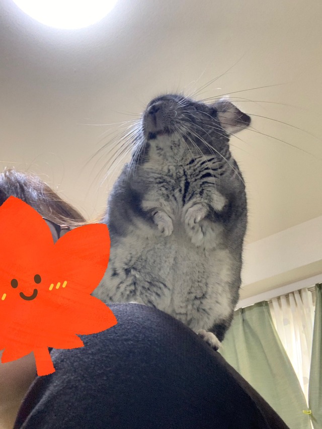 81373F5E-EA75-48DD-9569-6A66D60428DF