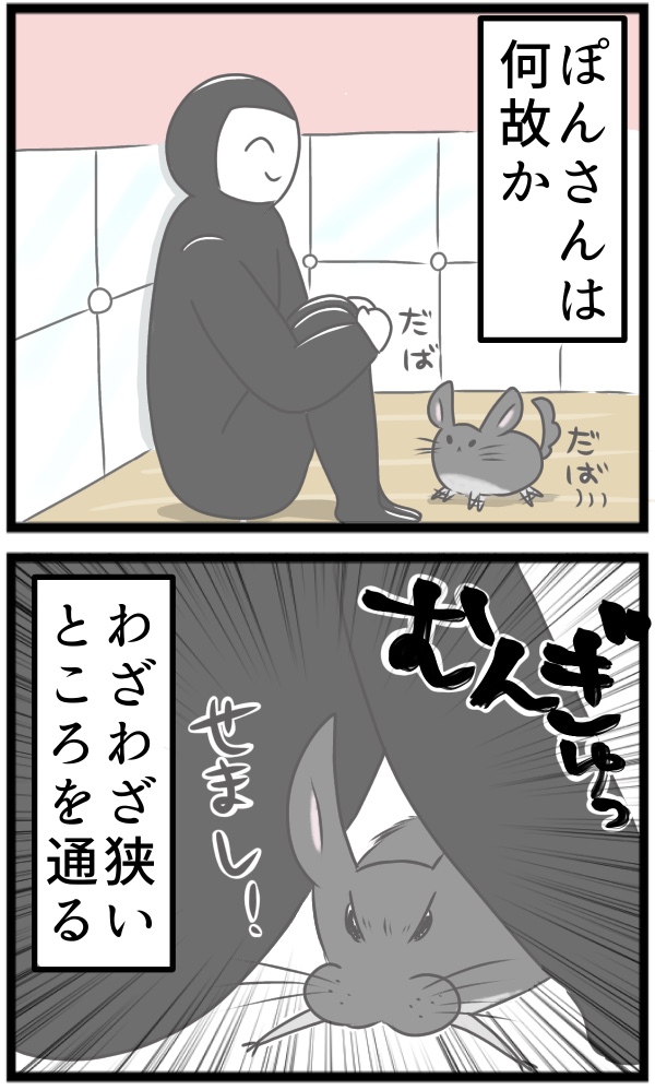 C108AC23-3023-4253-84FD-214CFA9F21B9