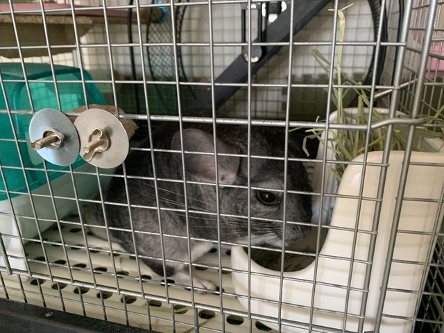 A202736F-BC55-4190-A9F9-420BBD7B7E05