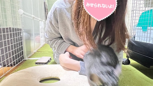 0A8C4CF1-4BC7-45EC-BD40-8669143EC00E