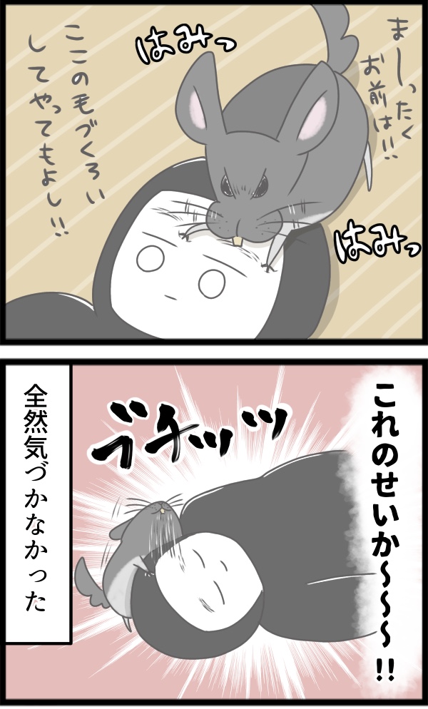 50B6B7C5-F6F3-45B2-B652-B9B657CF179E