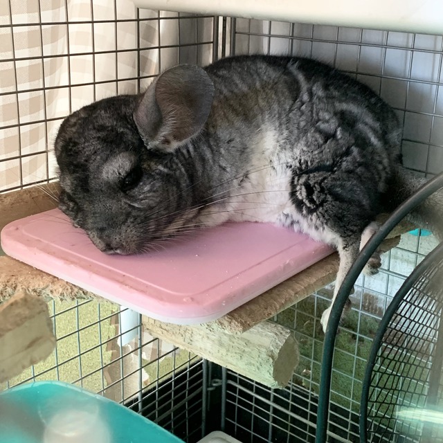 CE3597A8-A34B-46F3-A197-9C2FEF51AFEF