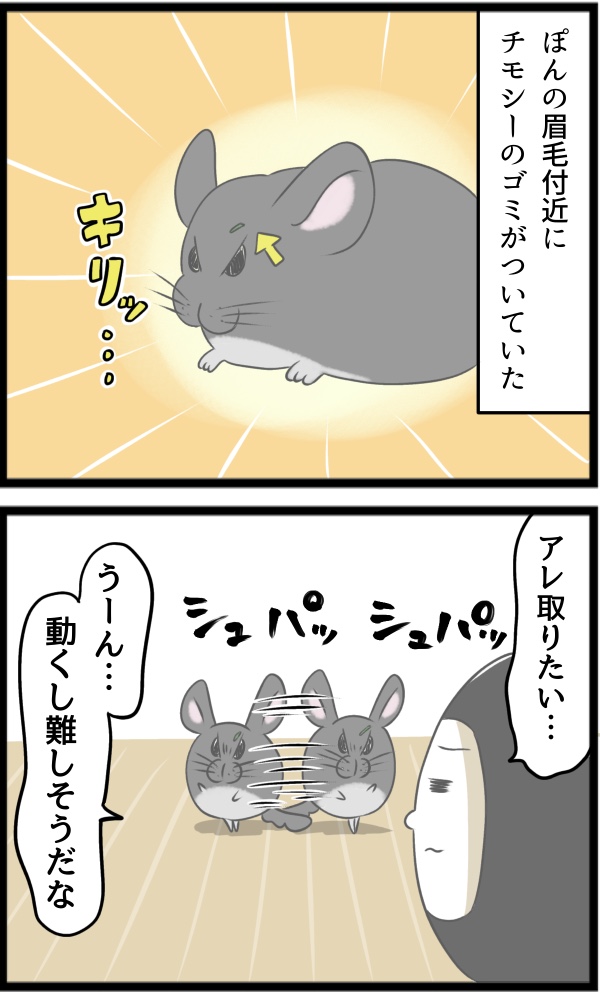 CDD884CF-042F-4103-A1CB-9E80808CBB3E