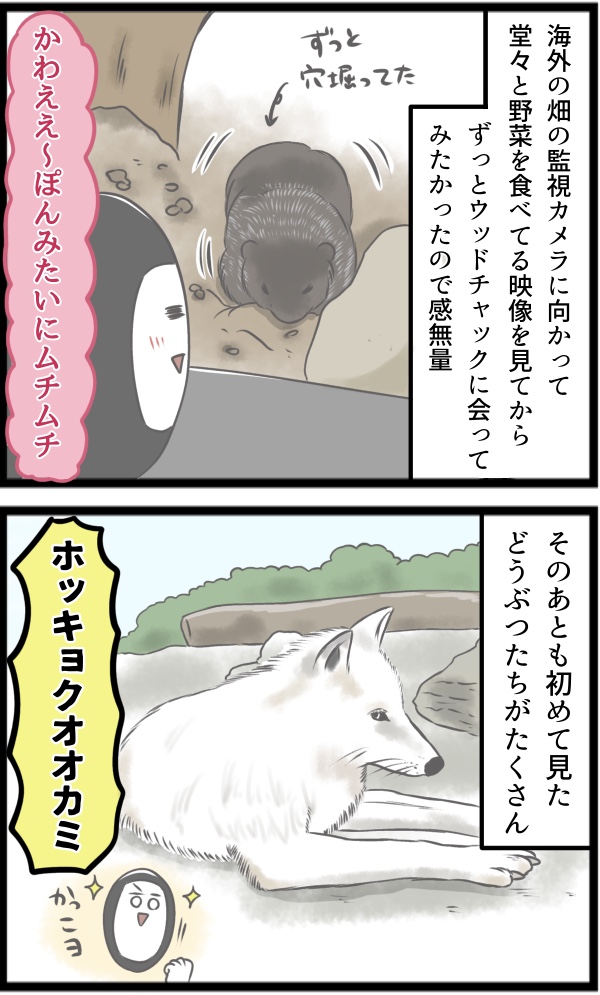 5D5EB1EE-DDAE-4A7B-9E20-A39D4CBCBC3A