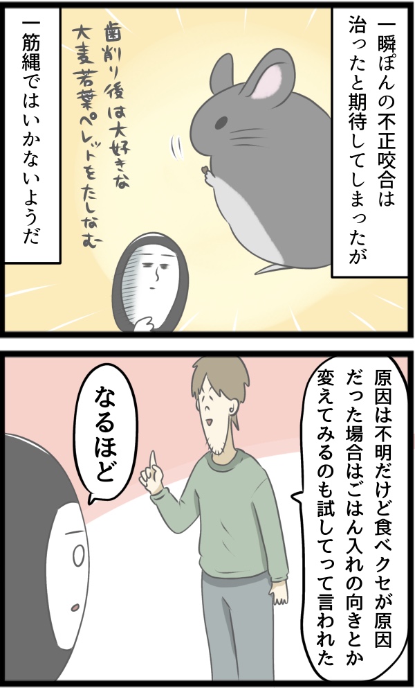 9C2AEA5F-0ECF-42D8-9243-4F263368413B