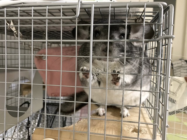 E6097FC3-4448-4B57-9BD0-E478683FAECC