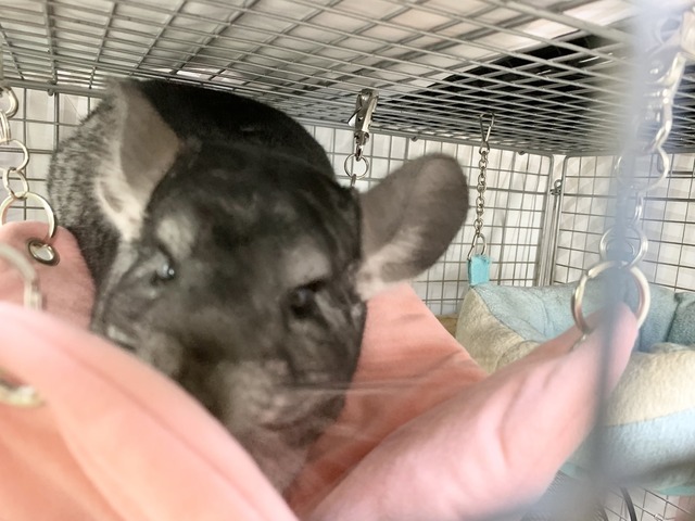 872ACB66-D2DD-46E1-B22F-8695AF7DB171