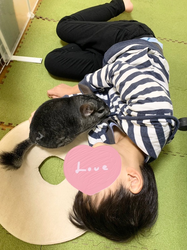 C53D1B0A-FA80-490B-9C1C-581D75D7DB73