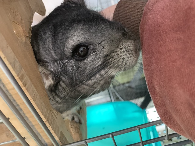 7ECF0491-71C9-4C29-95A5-BB556C36A9E7