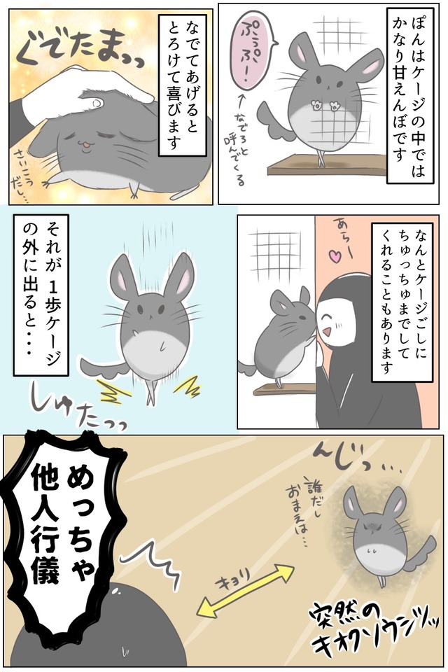 393EE972-EAE8-44ED-9CC8-A861033D4756