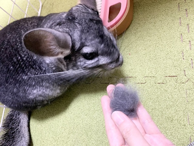 E4CCAA26-095B-4F3A-AF88-76400F7D2768