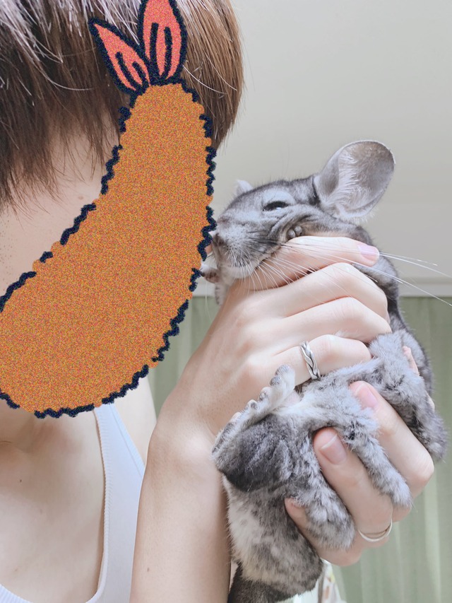 8B91BA0C-3FB7-45BF-9147-B92313C68A35