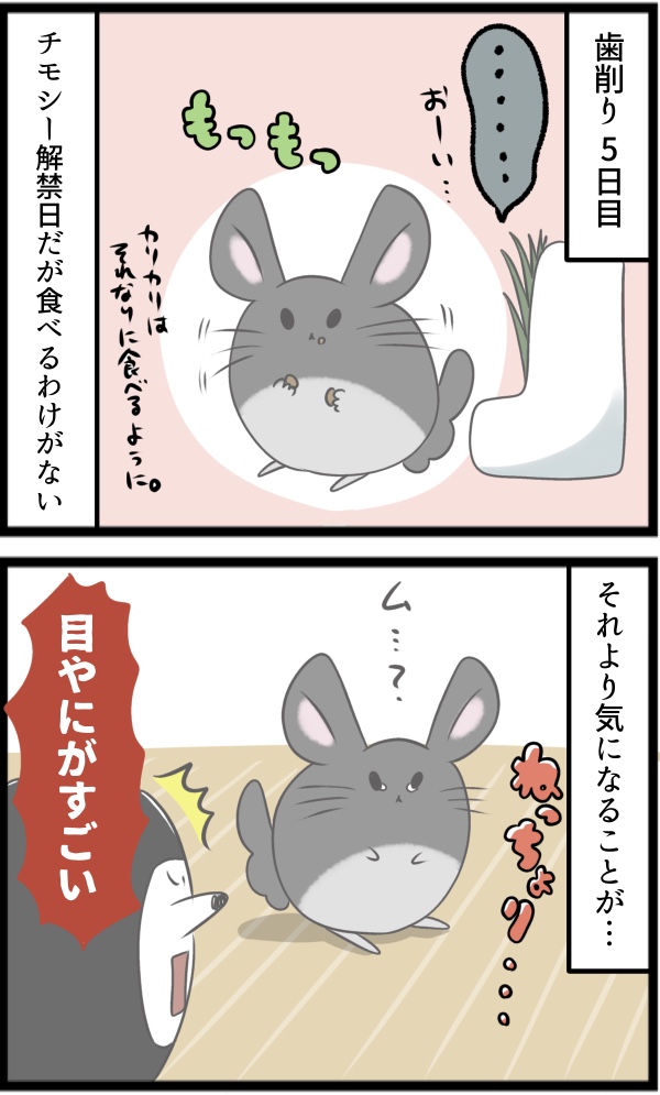 3A41350F-FEE0-4A86-95BC-090F31AB1E91