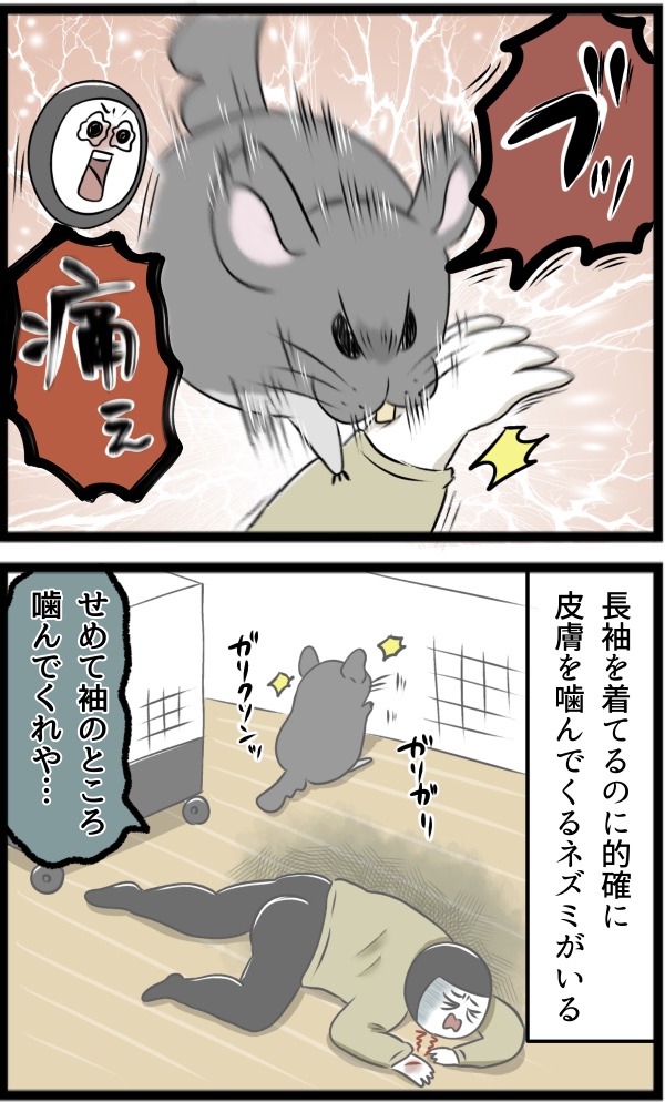 28174A8A-E744-4EA7-A885-44E694F99FAB