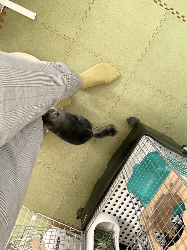 8BBCDB72-2D2D-4ECC-97AD-55F6F68F771C