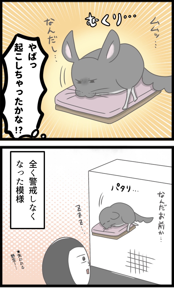 19C1A262-ED0E-468E-9EFA-E3EA0639AD24