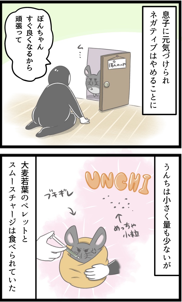 C77962DD-A388-4443-B814-E50084F52EE4